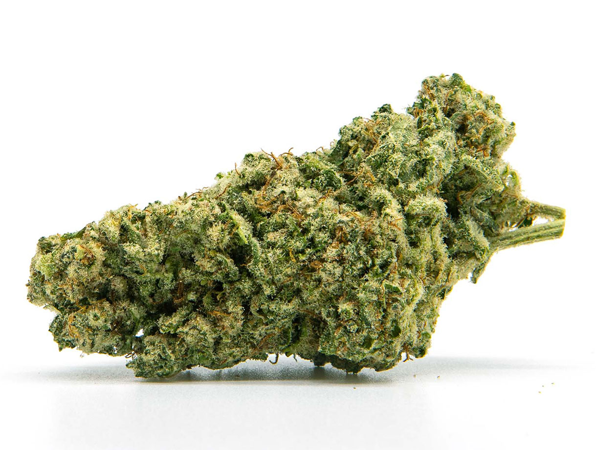 MAC1 